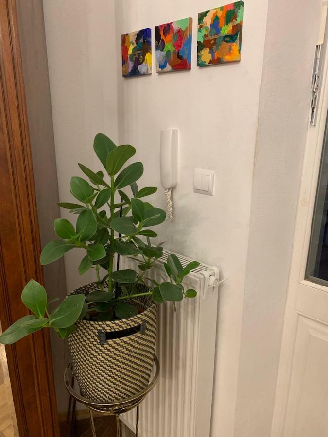 Charming Studio Apartment In The Heart Of The Jewish District! Krakow Ngoại thất bức ảnh